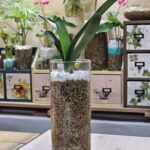 초록이들의 생육온도 알아보기 세번째